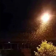 白蟻危害大，4-6月份進入其活躍期 防治白蟻不容忽視！